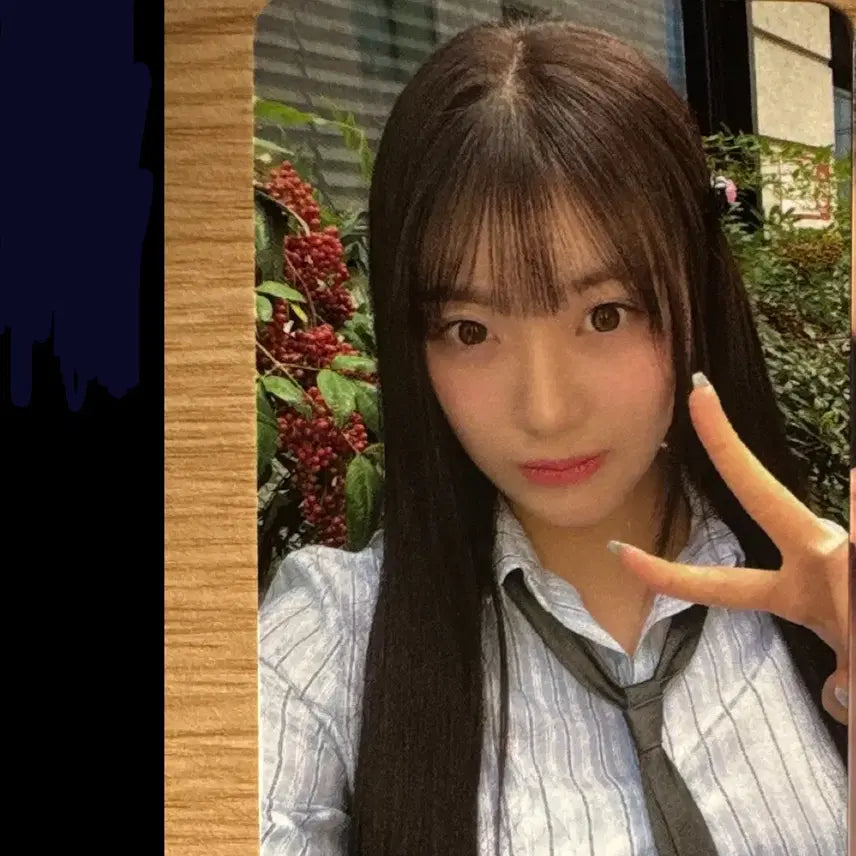 오드유스 ODD YOUTH 마이카 공방포카