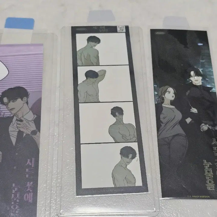 [BUNJANG] Photostory Bundle Set / 시든꽃에 눈물을 포토이즘 일괄