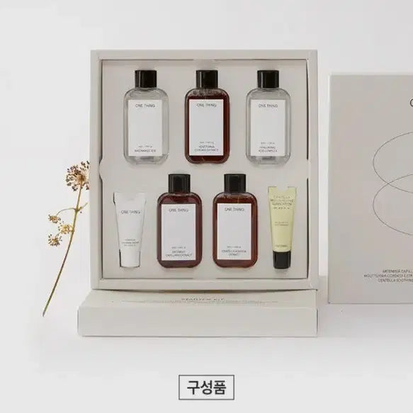 [BUNJANG] ONEUS Starter Kit Eoseongcho / 원씽 스타터 키트 어성초