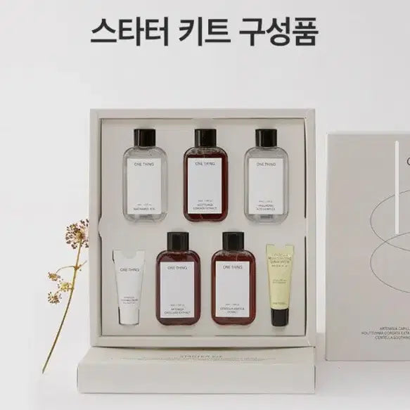 [BUNJANG] ONEUS Starter Kit Eoseongcho / 원씽 스타터 키트 어성초