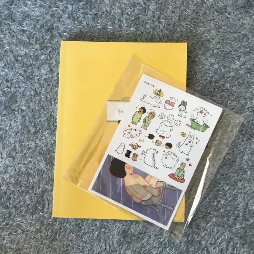 [BUNJANG] EXO Baekhyun Fanbook / 백도 육아일기 회지 팬북 양도