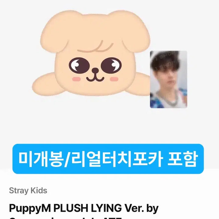 [BUNJANG] Stray Kids Seungmin PuppyM Plush Doll / 미개봉) 스키즈 스키주 승민 퍼핌 플러시 라잉 puppyM 라잉 인형