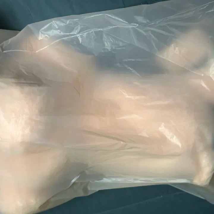 [BUNJANG] Stray Kids Seungmin PuppyM Plush Doll / 미개봉) 스키즈 스키주 승민 퍼핌 플러시 라잉 puppyM 라잉 인형