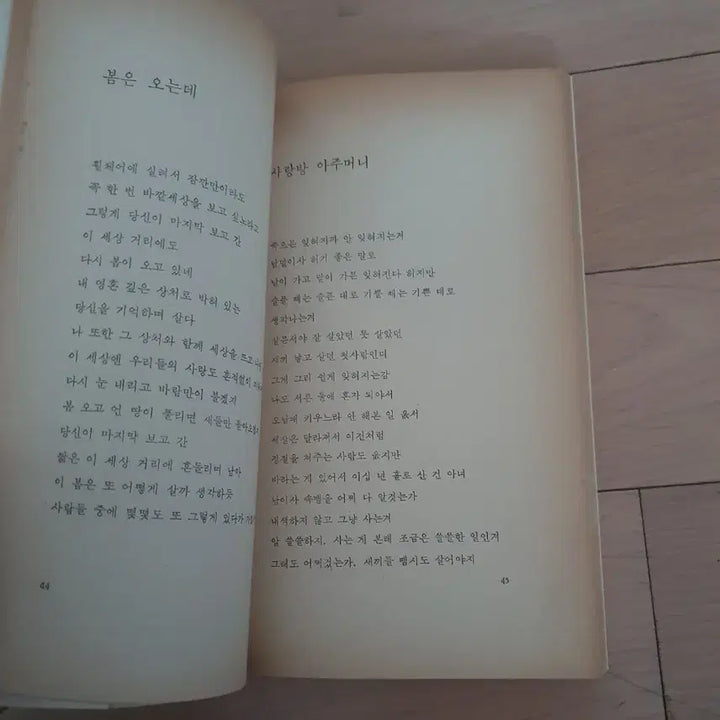 [BUNJANG] Do Jong-hwan 'When the Dinnerware Flower, My Dear' First Edition / 도종환 시집 접시꽃 당신 초판