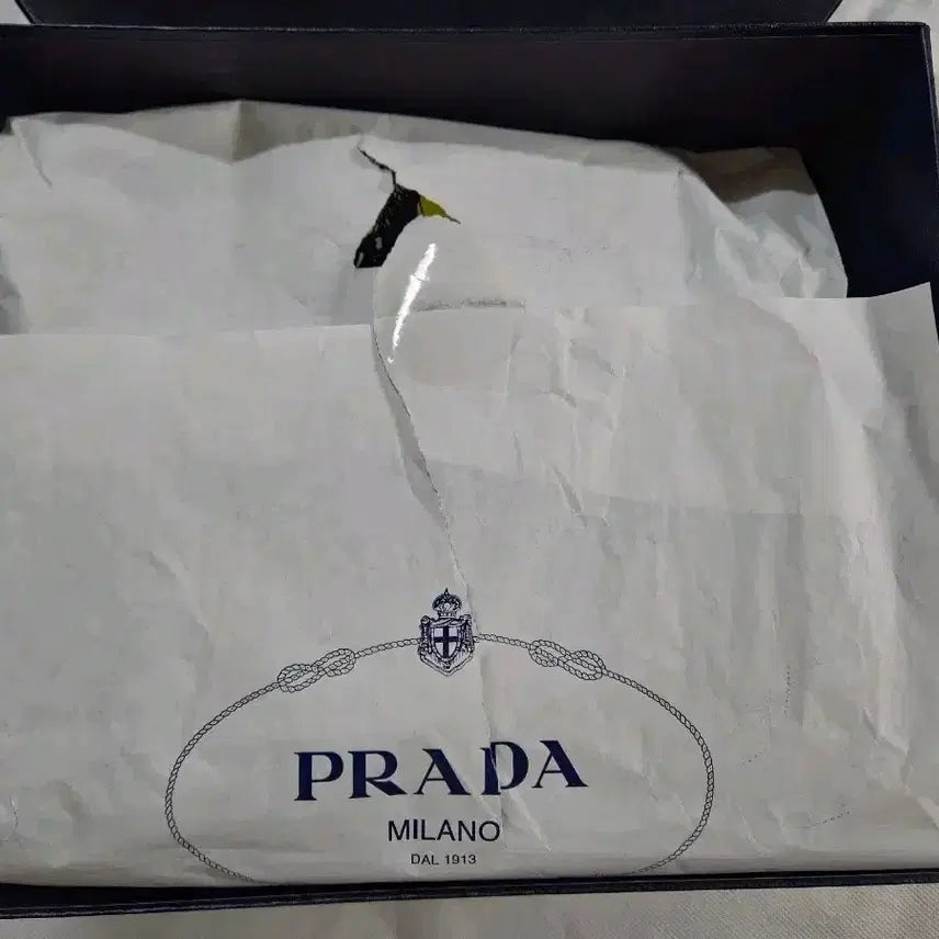 [BUNJANG] Prada Re-Edition 2005 Saffiano Hobo Bag / 프라다 리에디션 2005 사피아노 호보 백