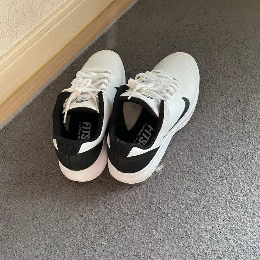[BUNJANG] Nike Golf Shoes (Size 230) / 나이키골프화230 실착1회