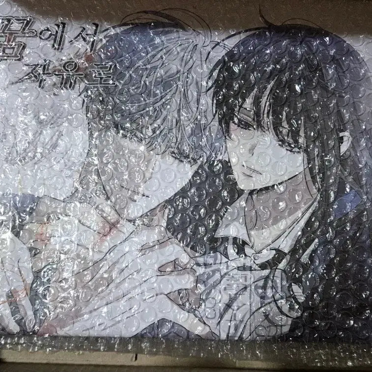 [BUNJANG] Dream to Freedom Full Package Book / 택포]꿈에서 자유로 텀블벅 단행본 펀딩 풀패키지