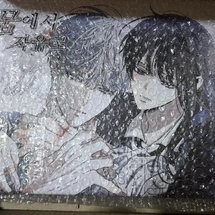 [BUNJANG] Dream to Freedom Full Package Book / 택포]꿈에서 자유로 텀블벅 단행본 펀딩 풀패키지