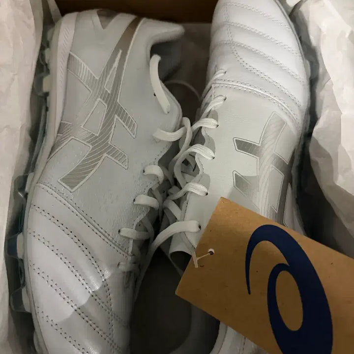 [BUNJANG] Asics DS LIGHT PRO AG Soccer Cleats (New) / 아식스 DS LIGHT PRO AG 축구화 새 상품 판매합니다!