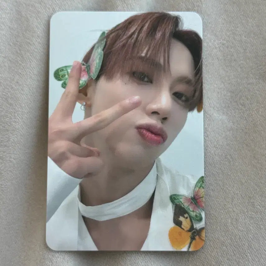 다크비 해리준 2026 시그 시즌그리팅 포카