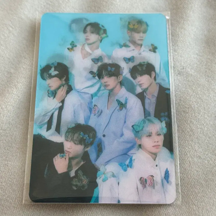 다크비 2026 시그 시즌그리팅 단체 렌티큘러 포카