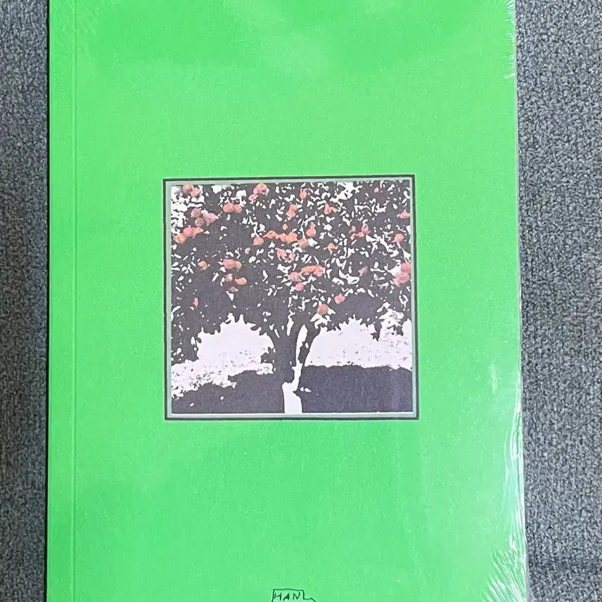[BUNJANG] Hanroro Grapefruit Apricot Club Concert Official Diary / [미개봉 새상품] 한로로 자몽살구클럽 콘서트 공식 MD 다이어리