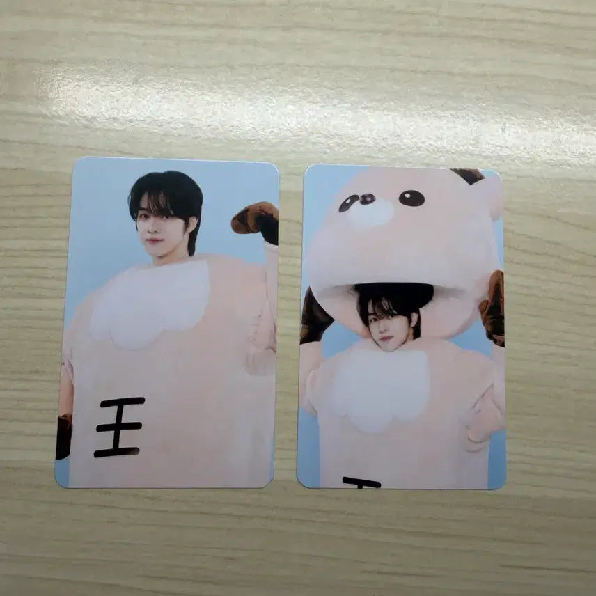 성찬 리라즈 팝업 트레카 2장 일괄