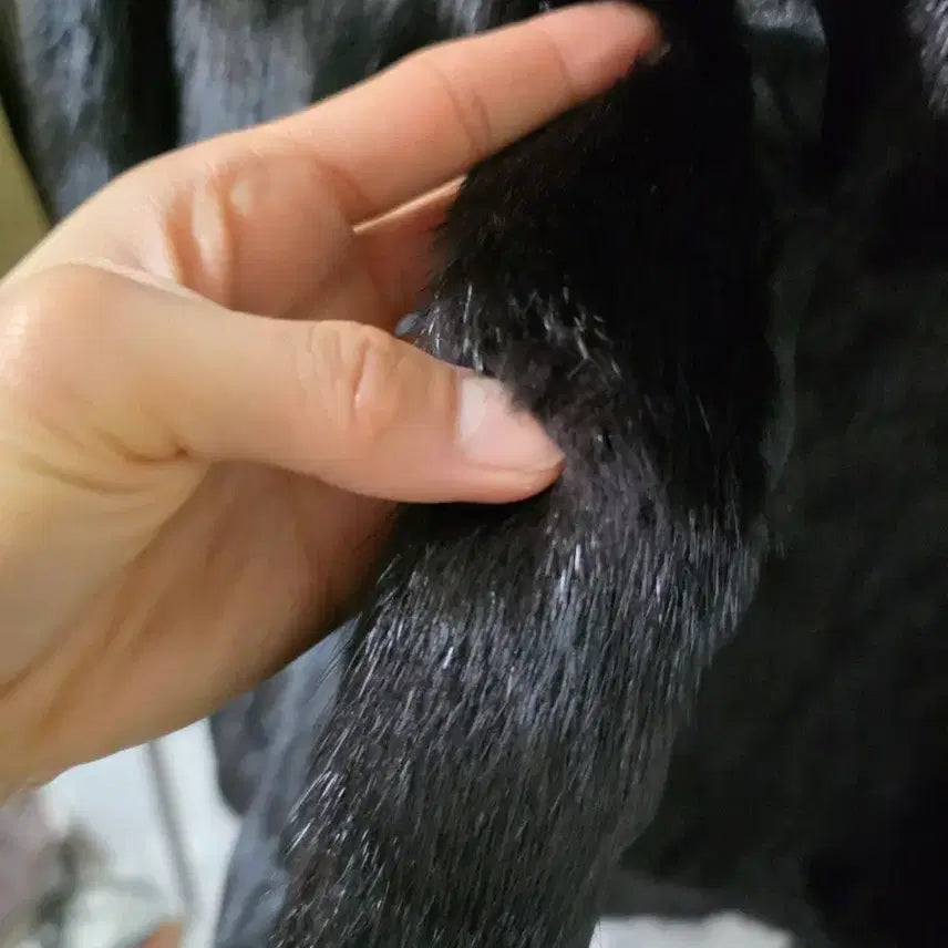 [BUNJANG] BTS Suga Black Mink Coat Jacket / 55-66블랙 밍크 코트 자켓