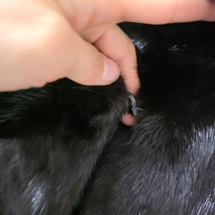 [BUNJANG] BTS Suga Black Mink Coat Jacket / 55-66블랙 밍크 코트 자켓