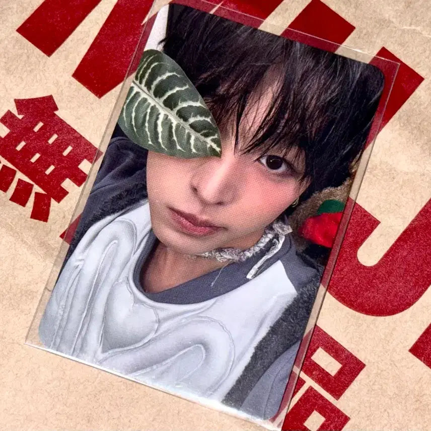 엔시티 위시 케타포 리쿠 포카