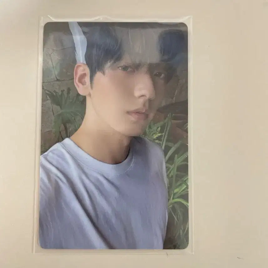 투바투 수빈 포카