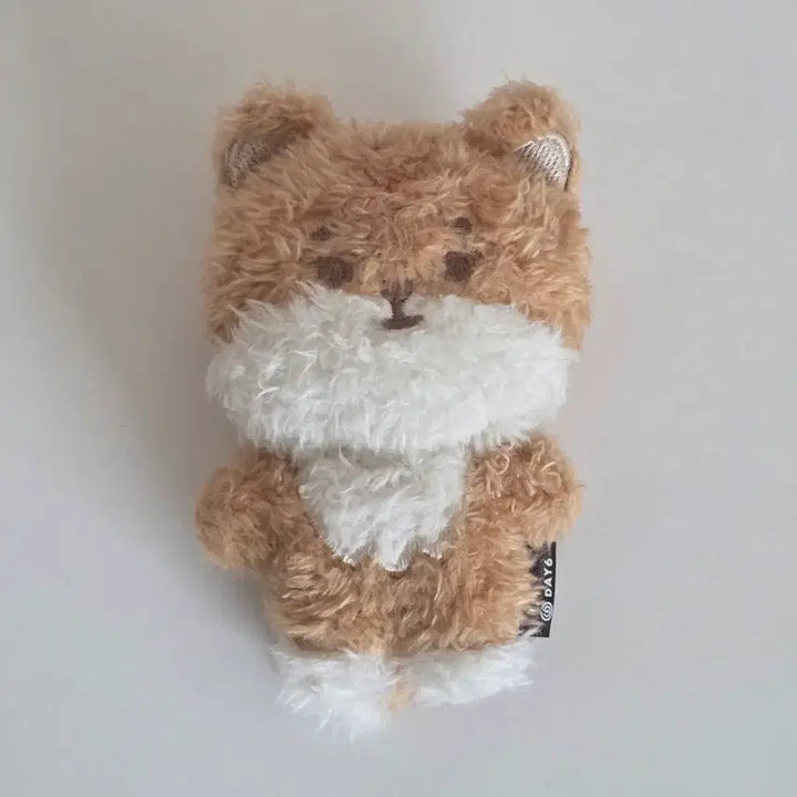 데이식스 영케이 엠디 마그넷 쁘멀 케