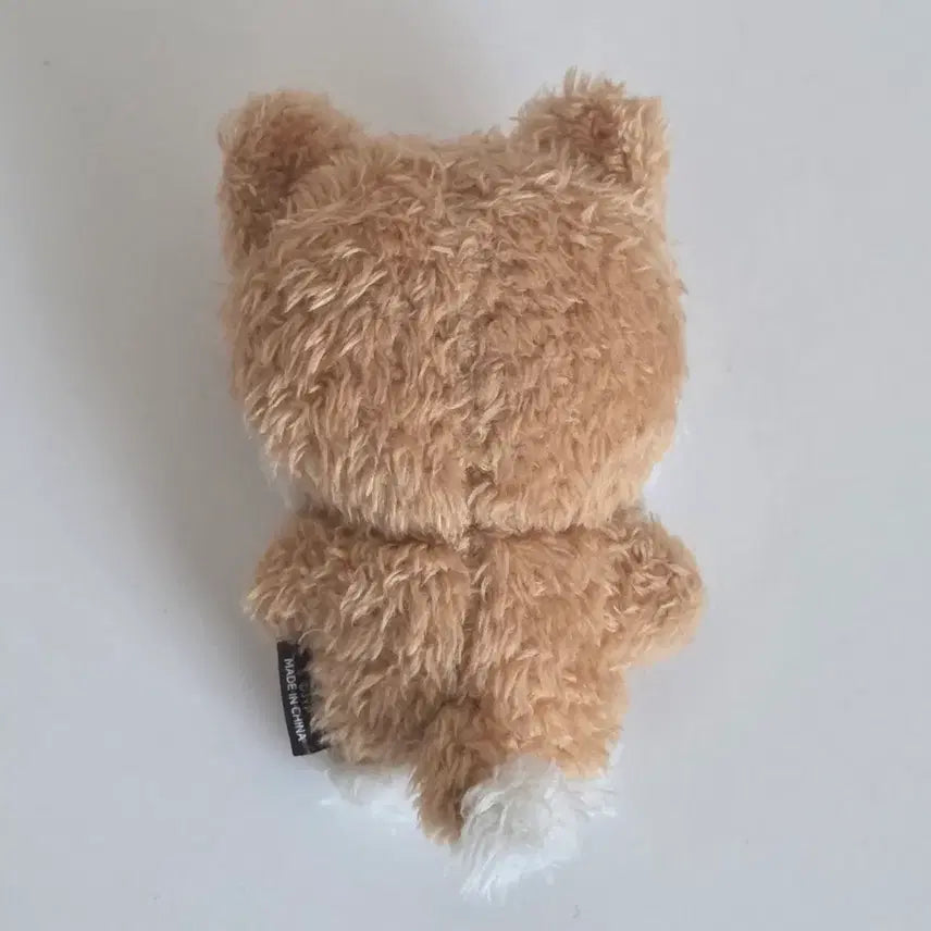 데이식스 영케이 엠디 마그넷 쁘멀 케