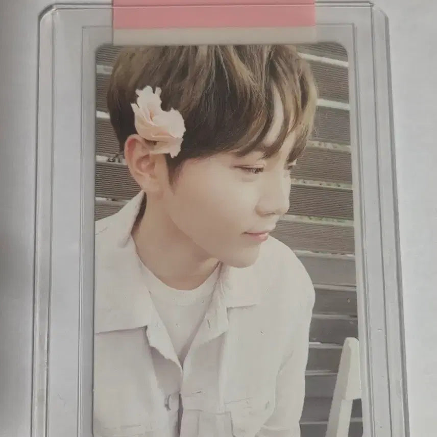 [BUNJANG] Seventeen Seungkwan White Pose Photocard / 세븐틴 박수 화이트 승관 포카