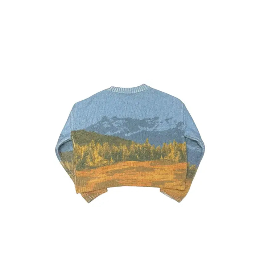 [BUNJANG] L Zara Sweater Knit / [L] 자라 스웨터 니트