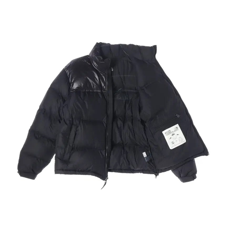 [BUNJANG] The North Face 1996 Eco Nuptse Jacket Black / 노스페이스 1996 에코 블루 눕시 자켓 블랙 NJ1DP74A