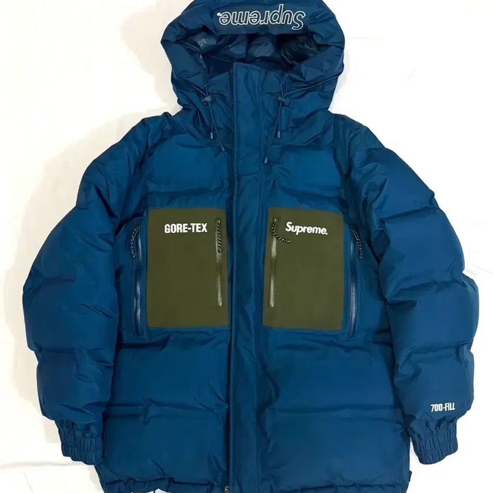 [BUNJANG] Supreme Gore-Tex 700 Fill Down Puffer Jacket / 슈프림 고어텍스 패딩 700필 19fw supreme gore-tex