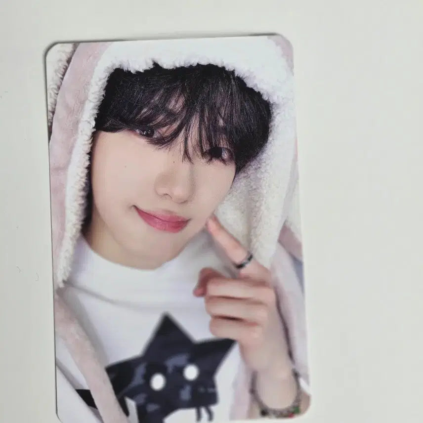 알파드라이브원 상현 토끼담요