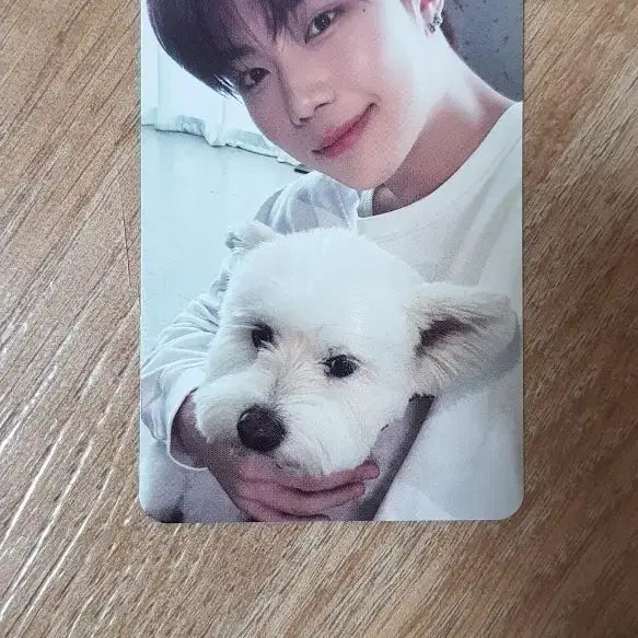 제베원 정규1집  박건욱 디지팩 포카 레오포카