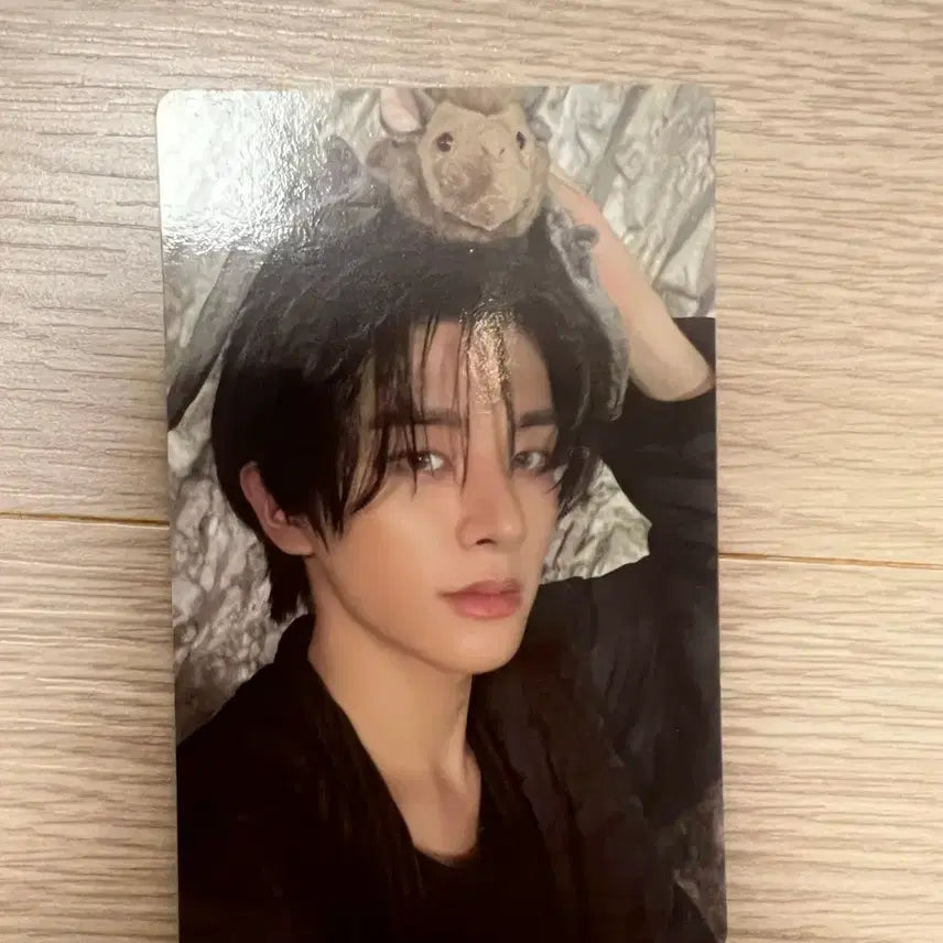 제이크 더 씬 베니쉬 포비든 버전 포카 양도합니다