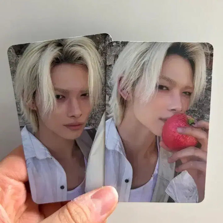 엔하이픈 THE SIN : VANISH(FUGITIVES) 니키 세트