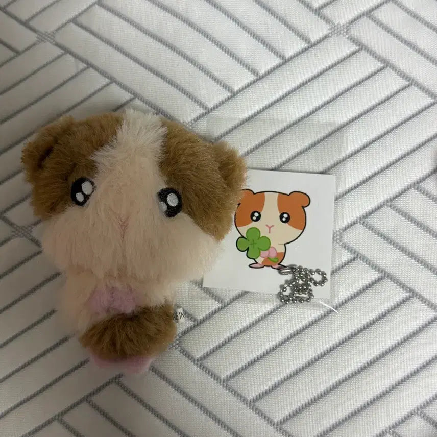 앤팀 하루아 룽기니 인형 양도