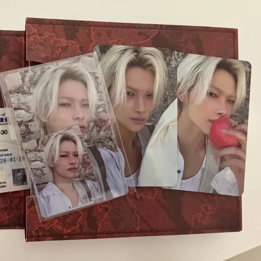 엔하이픈 THE SIN : VANISH 엔진반 니키 포토카드 풀셋