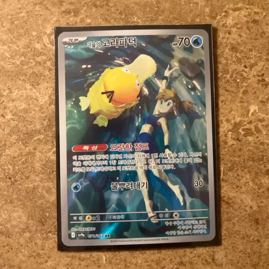 [BUNJANG] Pokemon Go Rapidash AR / 이슬의 고라파덕ar