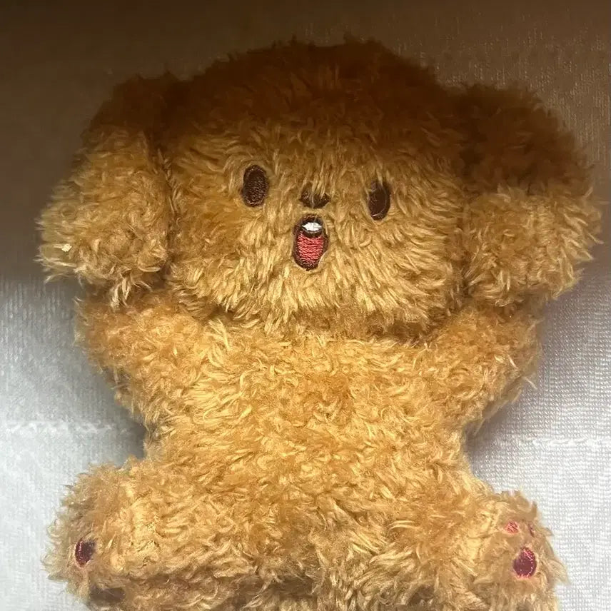 [BUNJANG] NCT Haechan Koko Brownie Doll / 엔시티 해찬 인형 코코 브라우니