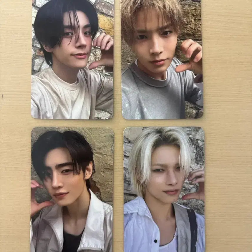 엔하이픈 쇼케이스 포카