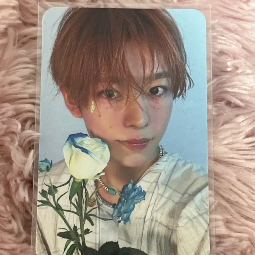 [BUNJANG] Yuusha Songbird Photocard / 유우시 송버드 포카