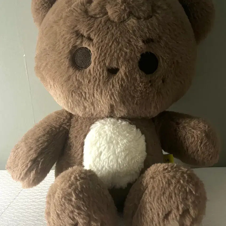 [BUNJANG] NCT Haechan Wangggomchan 40cm Doll / 엔시티 해찬 인형 왕꼼찬 40cm