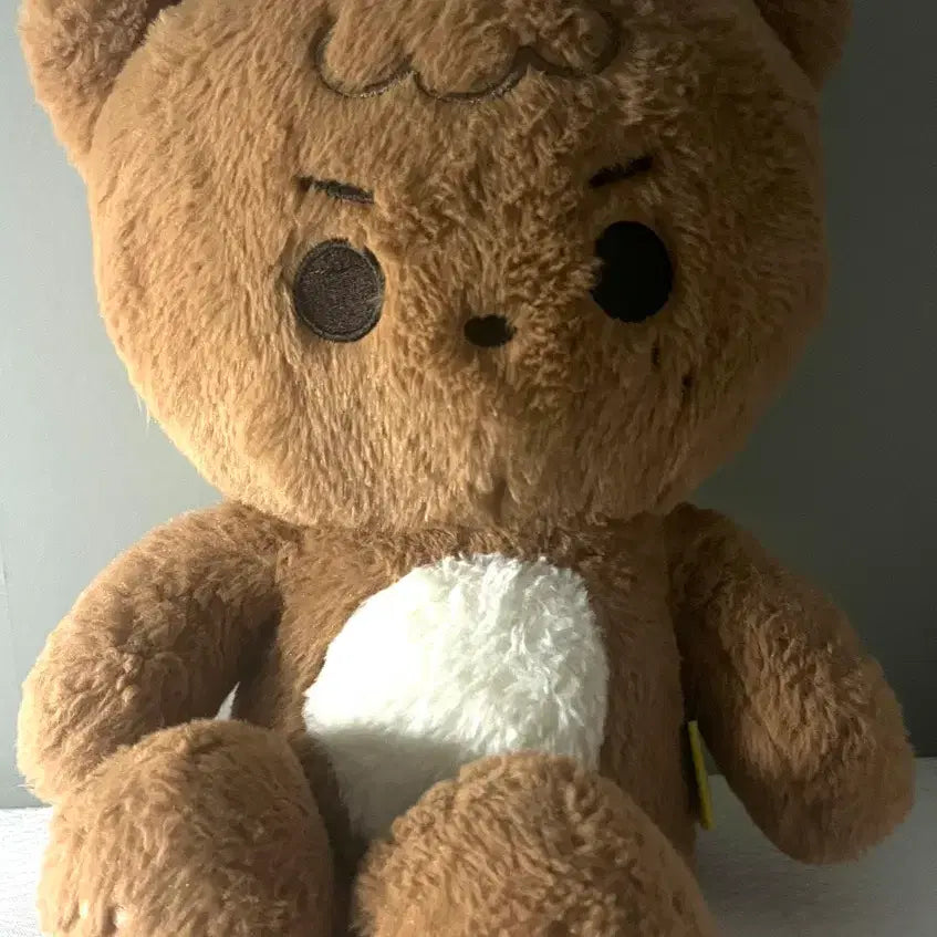 [BUNJANG] NCT Haechan Wanggomchan Doll / 엔시티 해찬 인형 왕꼼찬