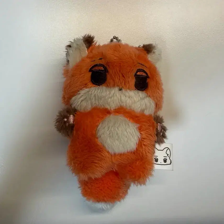 에스파 윈터 여우 직직이