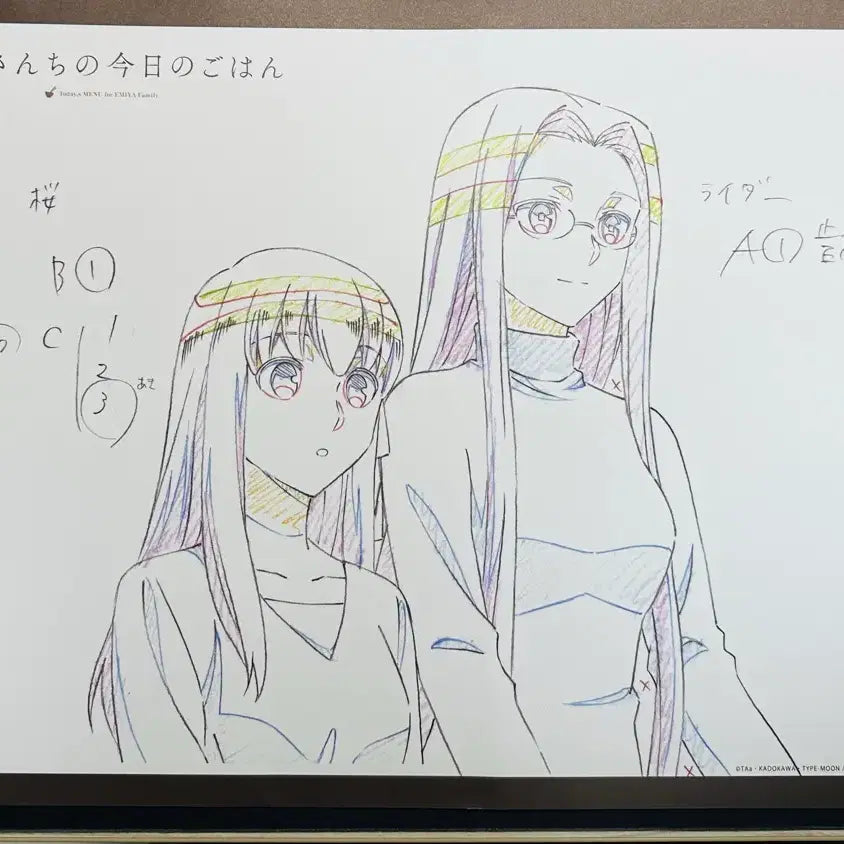 [BUNJANG] Fate: Stay Night Rider &amp; Sakura Lunch Mat / 페이트 에미야가의 오늘의밥상 원화 런천매트