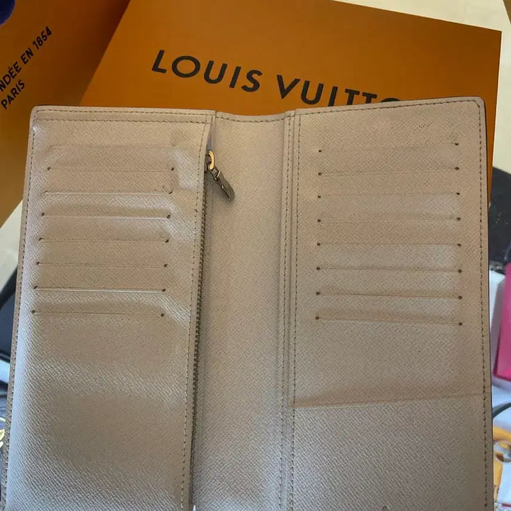 [BUNJANG] Louis Vuitton Antarctica Long Wallet / [정품] 루이비통 안타르티카 장지갑