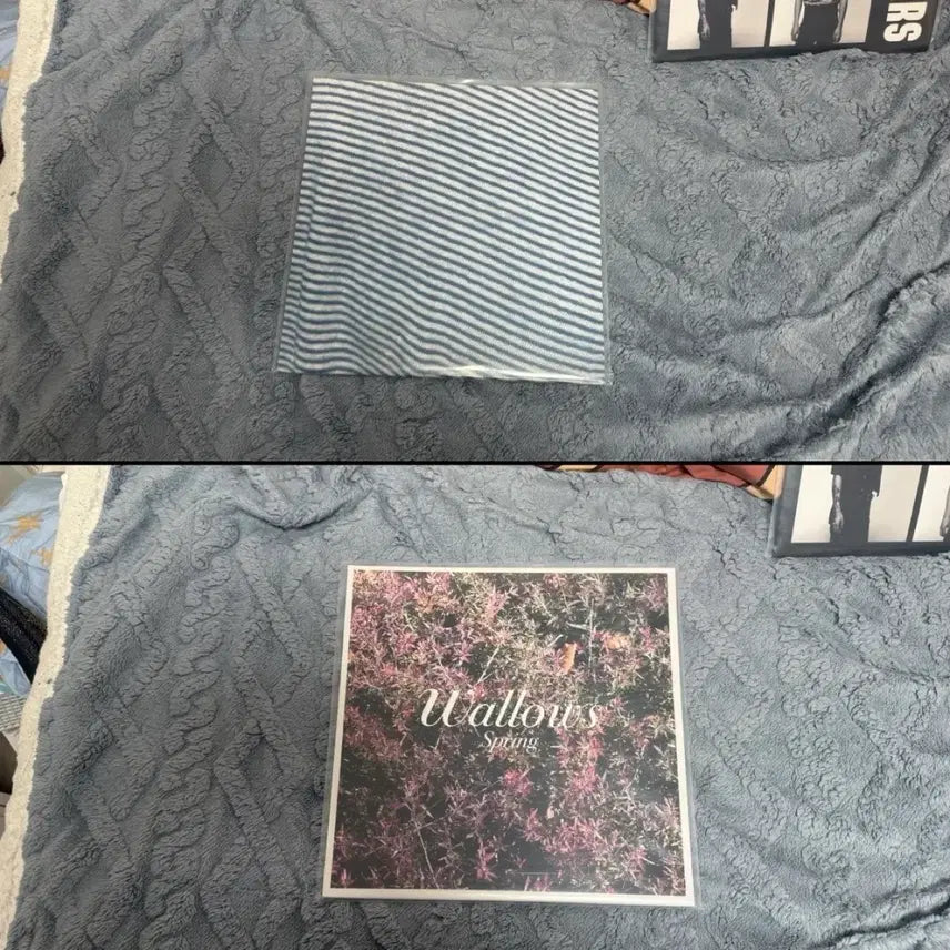 [BUNJANG] Wallows LP Bundle Set / Wallows 왈로우스 Lp 일괄