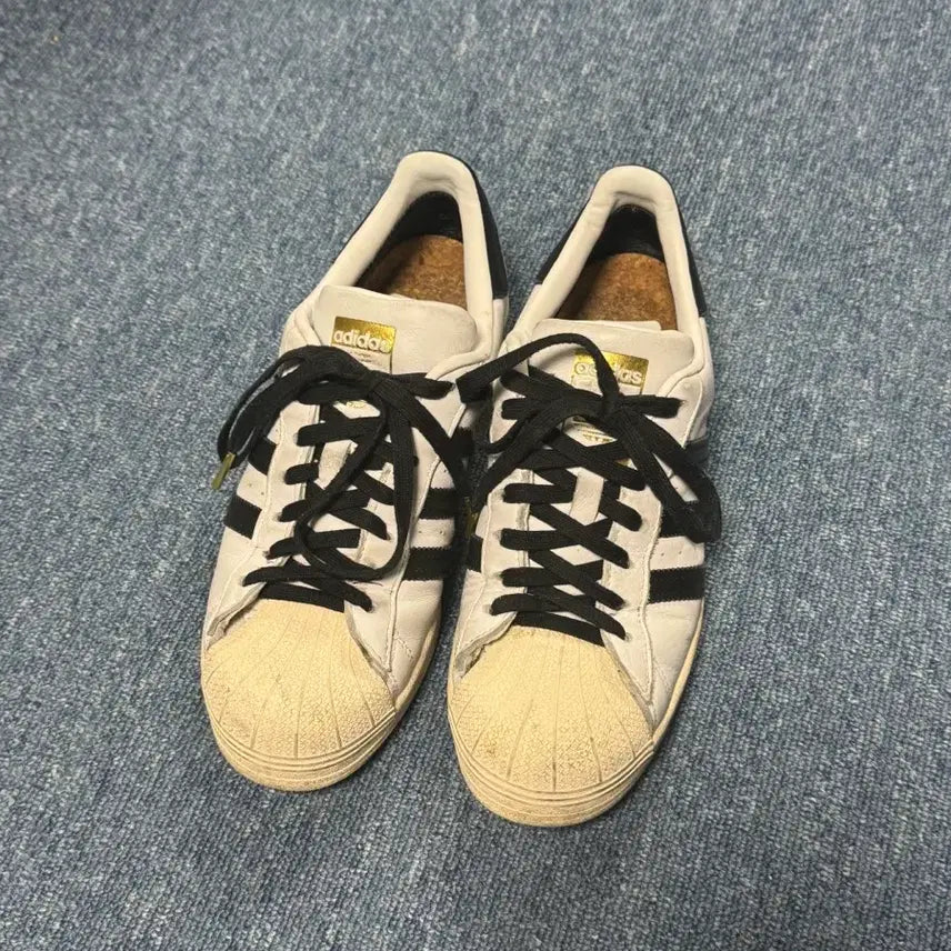 [SOLD OUT] 아디다스 슈퍼스타 고어텍스 260