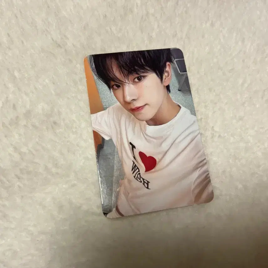 [SOLD OUT] 스테디 엠디 유우시 티셔츠 포카 엔시티 위시 포카 양도