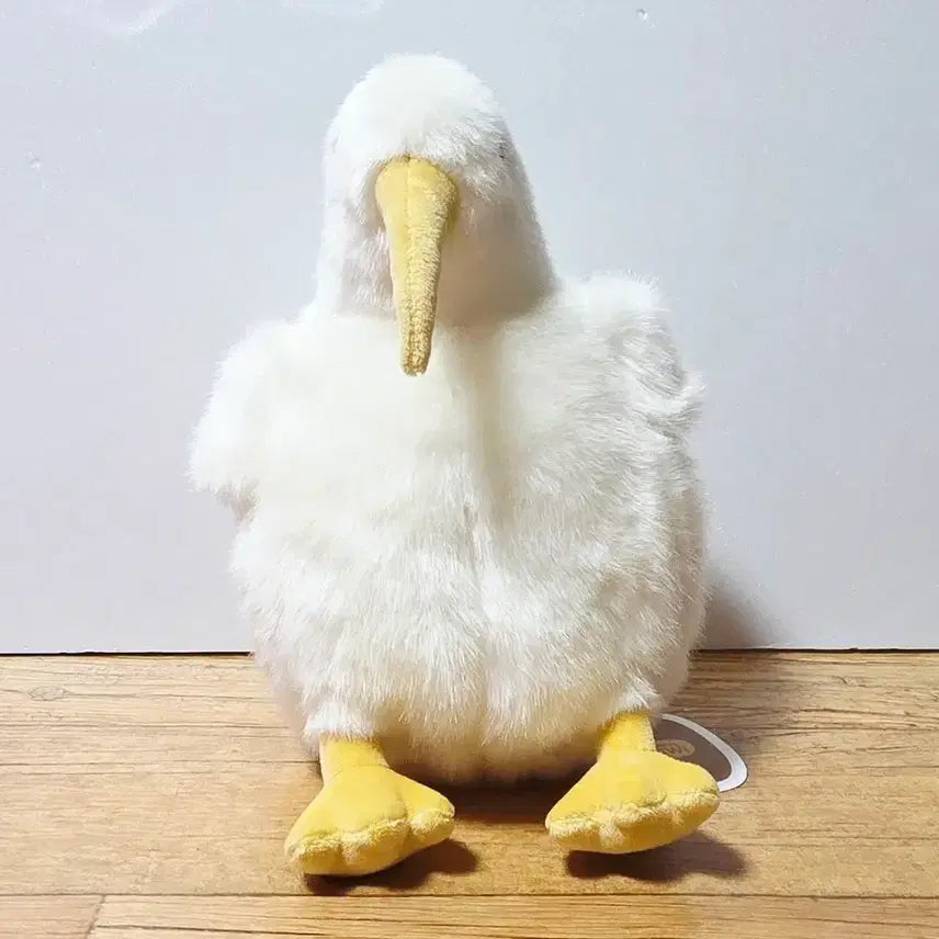 [SOLD OUT] 키위새 중형 26cm 화이트 인형