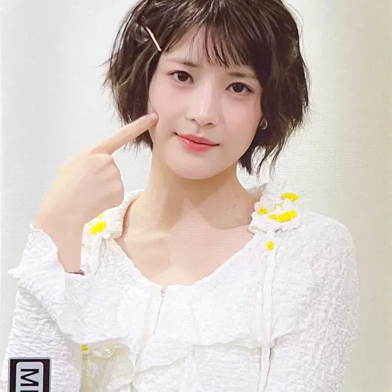 힛지스 비비 싸폴 싸인폴라 양도