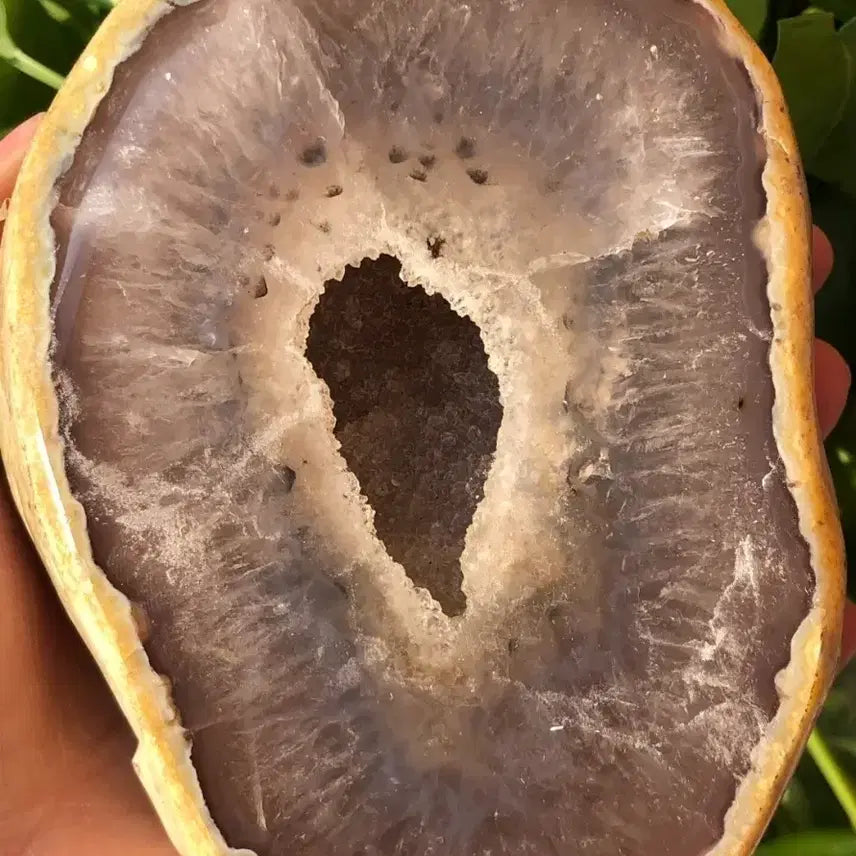 [BUNJANG] Brown Agate Specimen 1kg / 브라운 아게이트 자수 마노 1kg