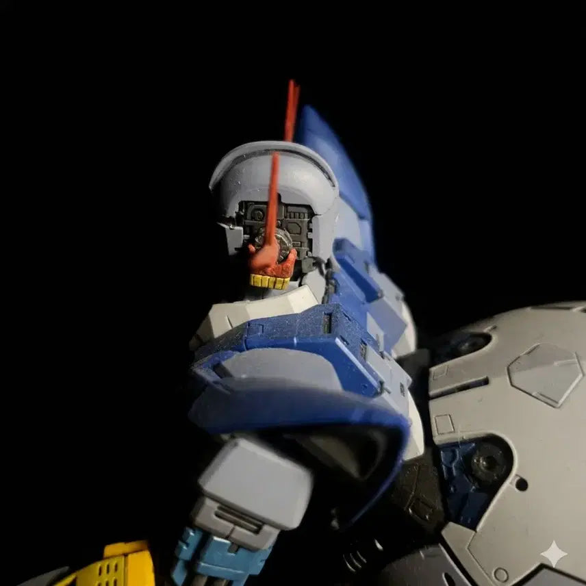 [BUNJANG] RG Zeong Gundam Painted Model / RG 지옹 건담 프라모델 도색