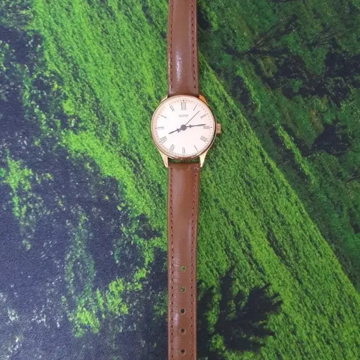 [BUNJANG] Lloyd Women's Watch / 로이드 여성 시계